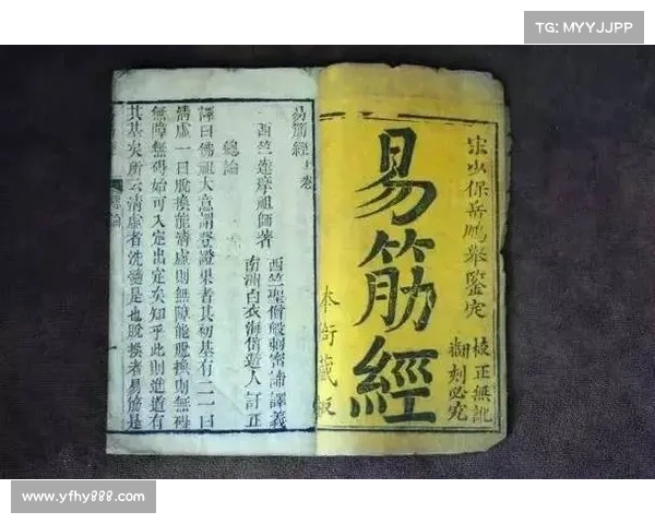 葵花宝典无上心法:秘传修炼指南 葵花宝典无上心法:秘传修炼指南
